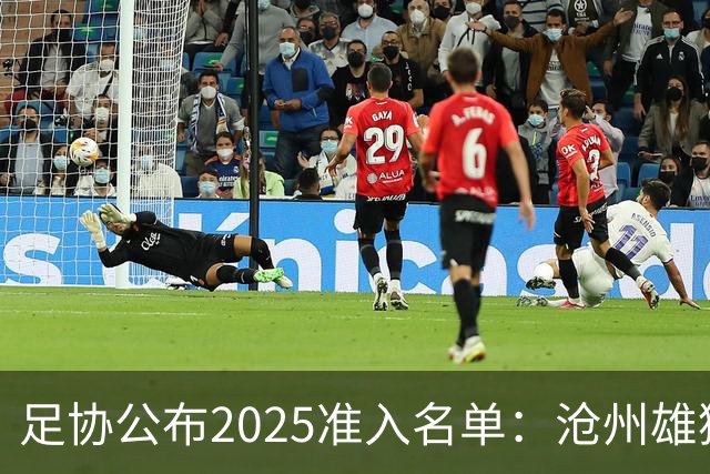 足协公布2025准入名单：沧州雄狮、广州队无缘